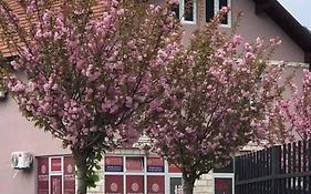 Apartman Poljcic Visegrad